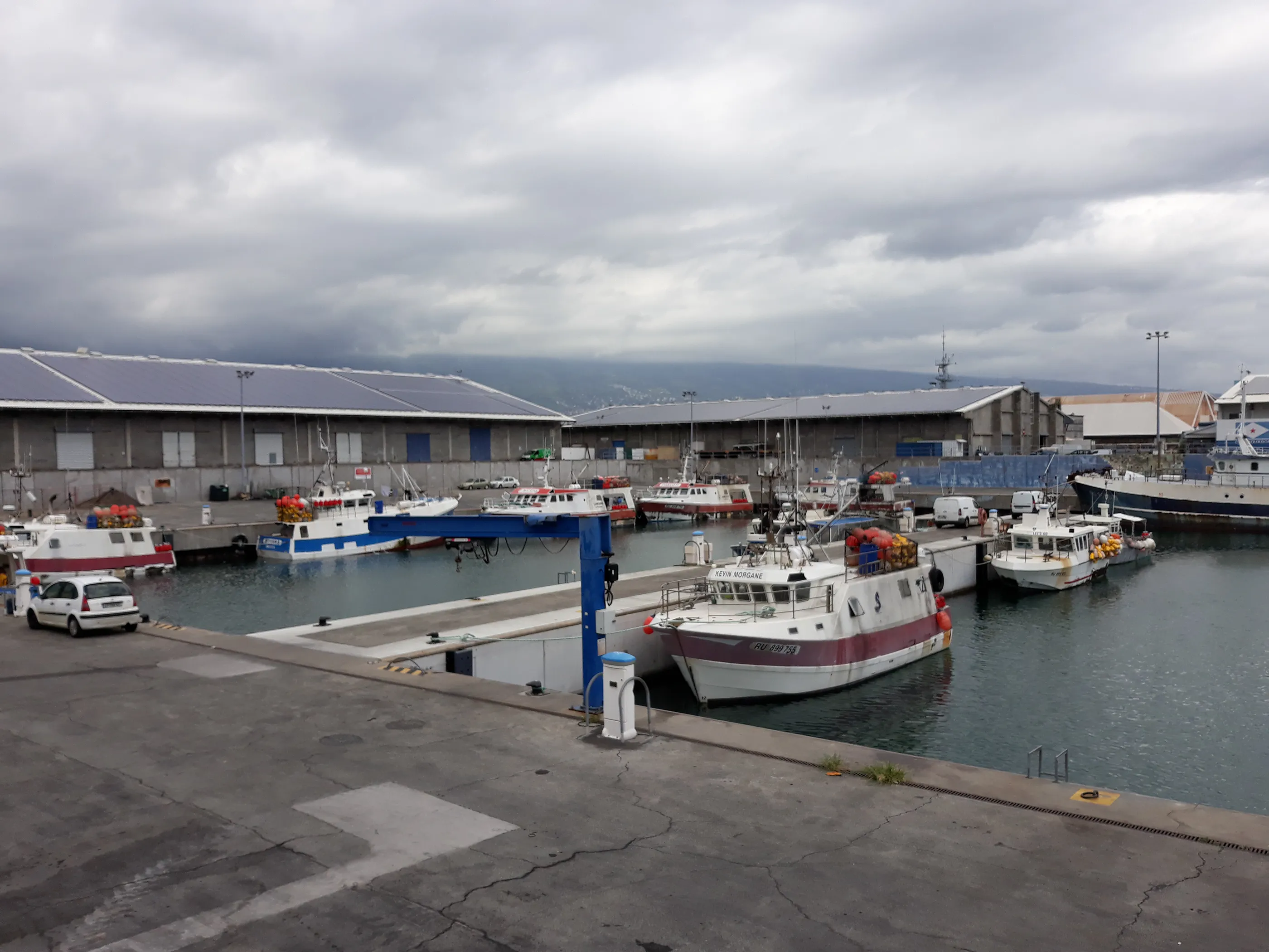 La darse de pêche hauturière au port de la Pointe des Galets (Photo: CRPMEM Réunion)
