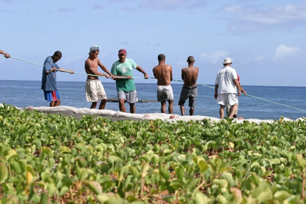 Une équipe remonte la senne de plage en Baie de Saint-Paul (Photo: CRPMEM Réunion)