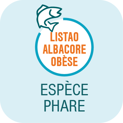 ESPECE GPT fond bleu