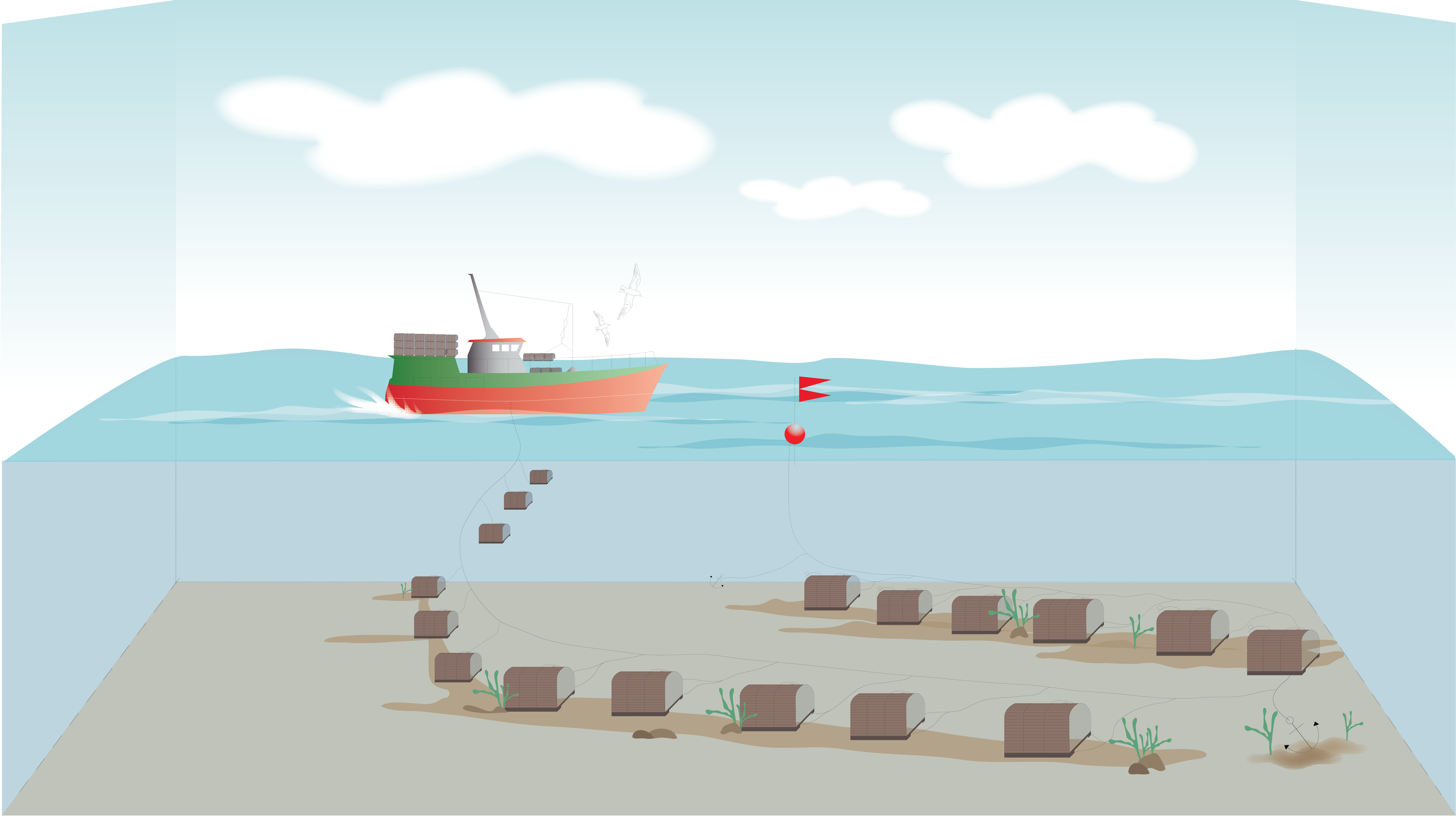 La pêche aux casiers (Illus.: CRPMEM Réunion, 2026)