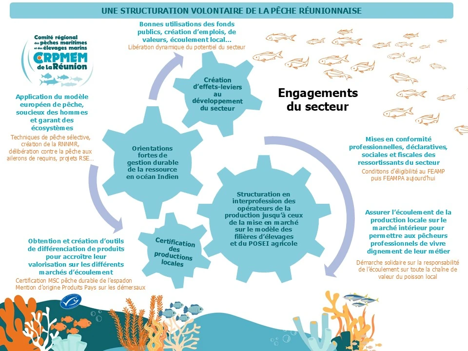 La structuration volontaire de la pêche réunionnaise (Illus.: CRPMEM Réunion)