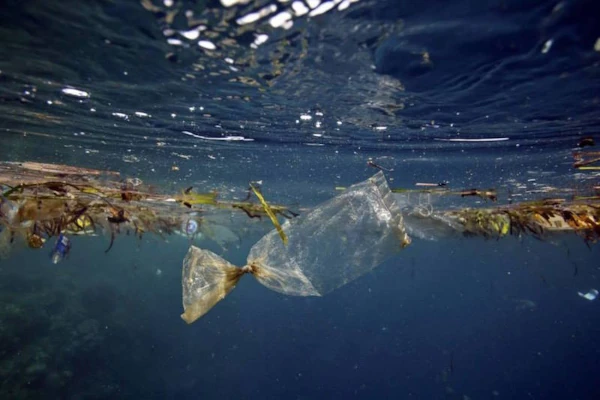 Pollution plastique sous-marine (Photo: ImazPressReunion.com)