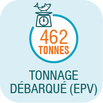 TONNAGE GPALA fond bleu