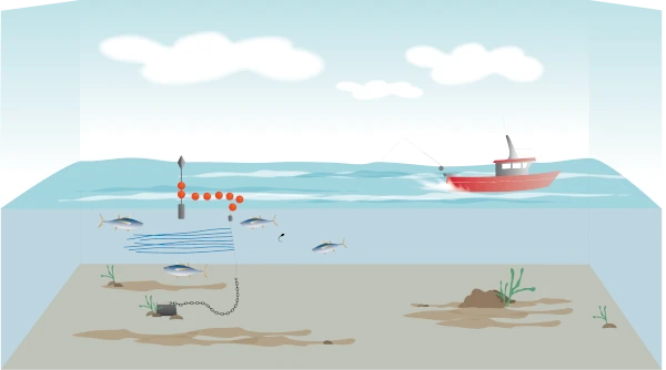 La pêche à la traîne (Illus.: CRPMEM Réunion, 2026)