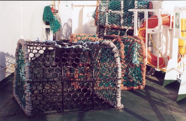 Casiers utilisés à bord des caseyeurs de l'Austral (Photo: SAPMER)