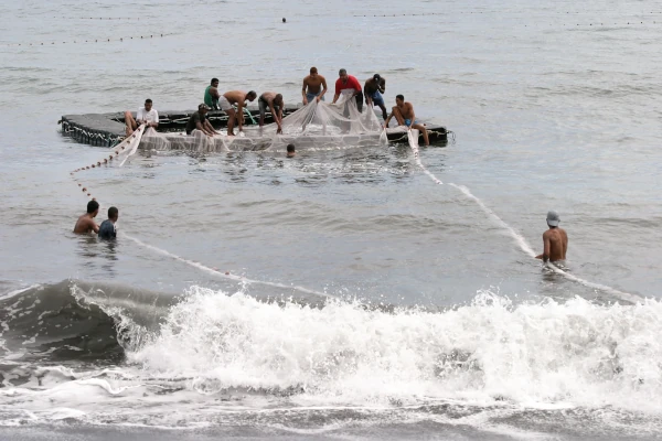 Scène de pêche à la senne de plage en Baie de Saint-Paul (Photo: CRPMEM Réunion)