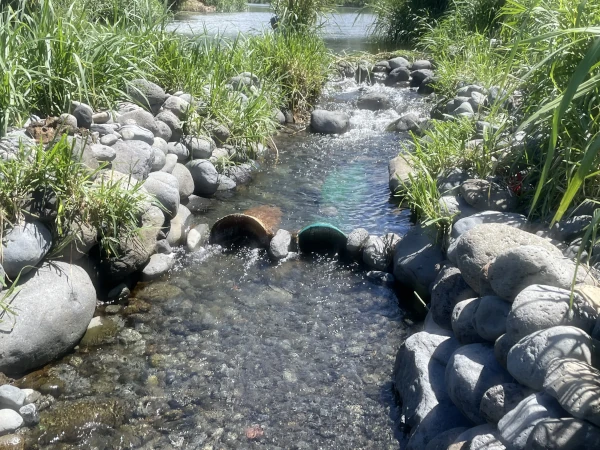 Des vouves installées en travers d'un canal pour la pêche aux bichiques (Photo: CRPMEM Réunion)