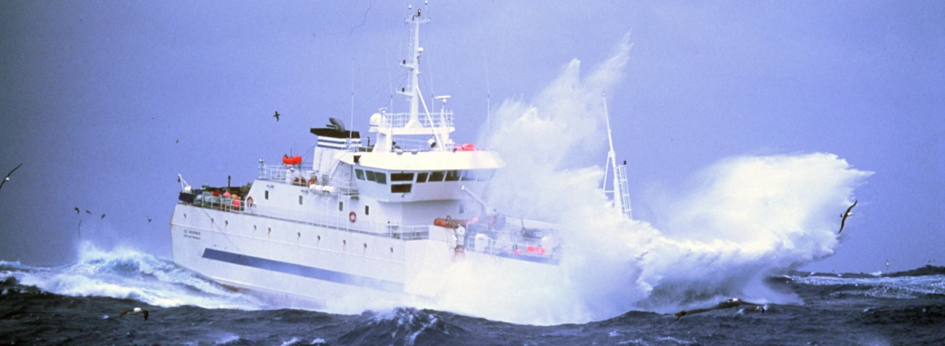 Austral hero