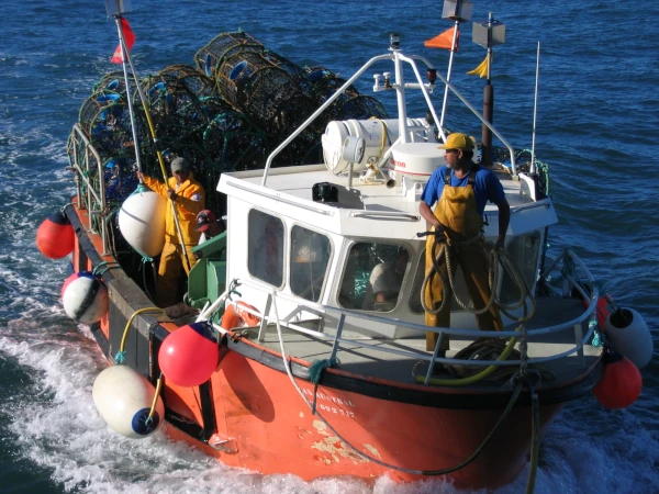Un caseyeur de l'Austral (Photo: SAPMER)
