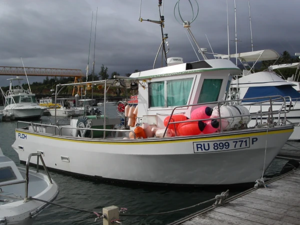 Un mini-longliner réunionnais à quai (Photo: CRPMEM Réunion)