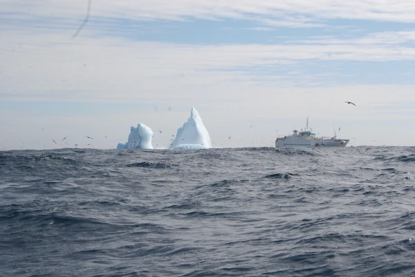 Un palangrier léginier de pêche australe croise un iceberg dans les eaux des TAF (Photo: SAPMER)