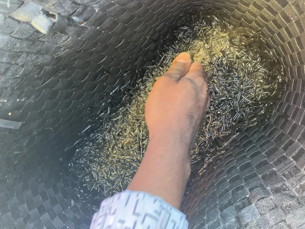 Des bichiques au fond d'un sac bertel (Photo: CRPMEM Réunion)