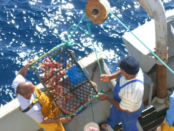 Des marins remontent un casier à bord d'un navire langoustier de pêche australe (Photo: TAAF, COPEC)