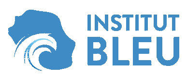 IB logo dark
