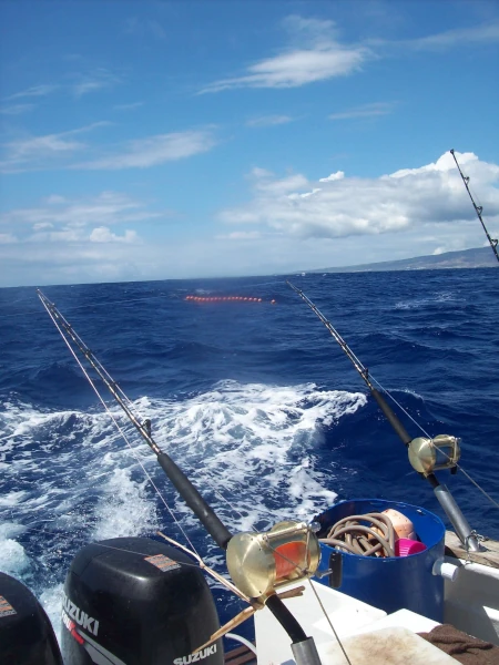 Moulinets et lignes de traîne autour d'un DCP ancré (Photo: CRPMEM Réunion)