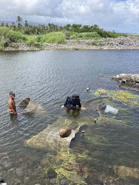Des pêcheurs à pied installent des vouves pour la pêche aux bichiques (Photo: CRPMEM Réunion)
