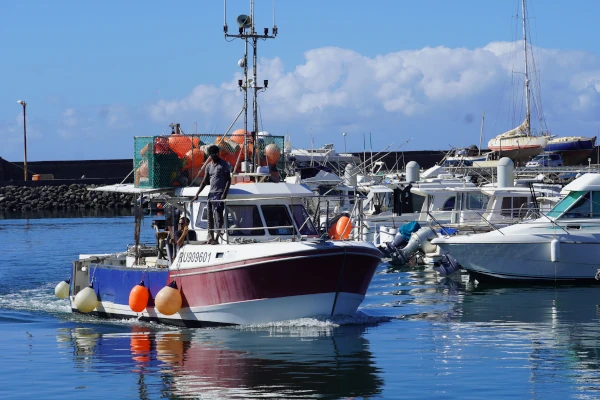 Un mini-longliner réunionnais rentre au port de Saint-Pierre (Photo: CRPMEM Réunion)