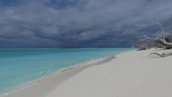 Plage de l'archipel des Glorieuses (Photo: TAAF)