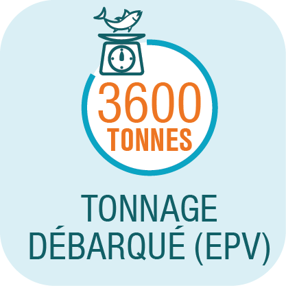 TONNAGE GPT fond bleu