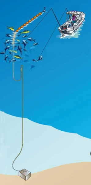 Un navire de pêche artisanale côtière et un DCP ancré (Source: inconnue)