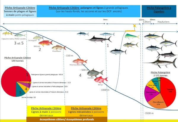 Métiers et profondeurs de pêche à La Réunion (source: Ifremer, 2024)