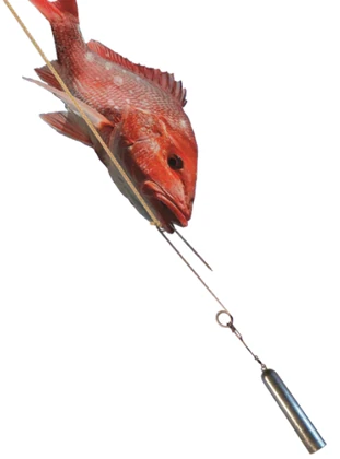 Un dispositif simple de descente de poisson, qui sera testé lors du projet SOS'DEM (Source: dogfishtacklecompany.com)