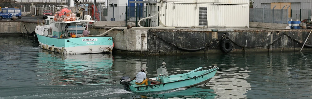 Un canot passe devant un palangrier à quai (Photo: CRPMEM Réunion)