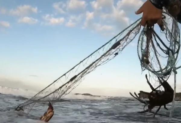 Un filet trémail à main pour la pêche à la langouste à Etang Salé (Source: capture d'écran Réunion La Première)