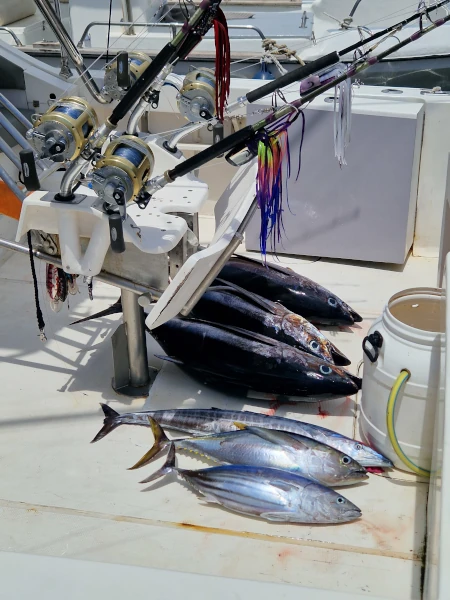 Pêche au gros à La Réunion (Photo: CRPMEM Réunion, 2025)