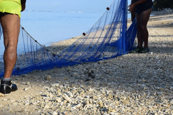 Pêche aux capucins nains au filet (Photo: Avalery, GIP RNMR)