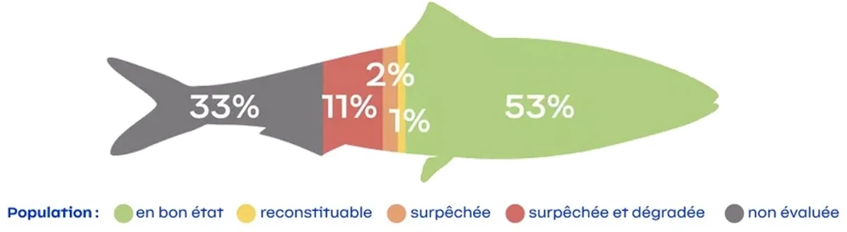 Bilan des stocks de poissons exploités à La Réunion (source: Ifremer, 2026)
