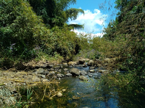 Les blocs rocheux dans le lit de la Rivière des Roches (Photo: OCEA' Consult)