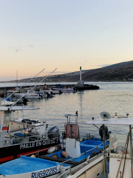 Pescatourisme à La Réunion (Photo: CRPMEM Réunion, 2025)