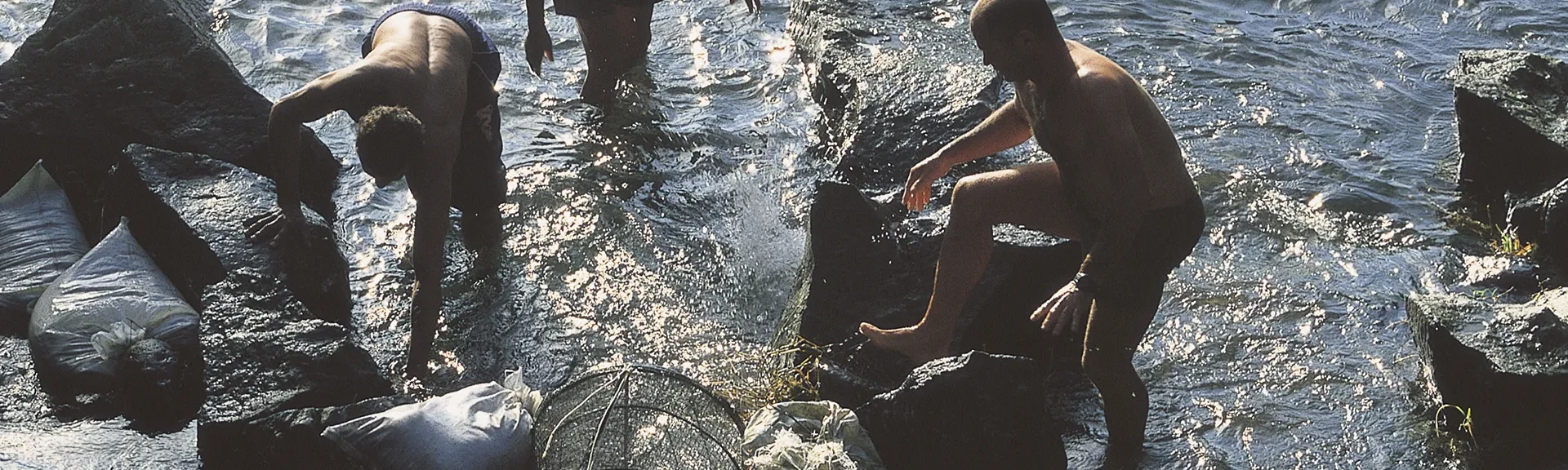 Pêche à pied