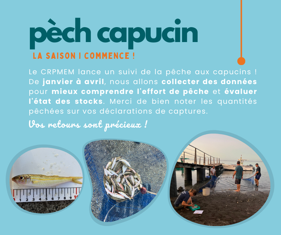 APPEL À POISSON 1