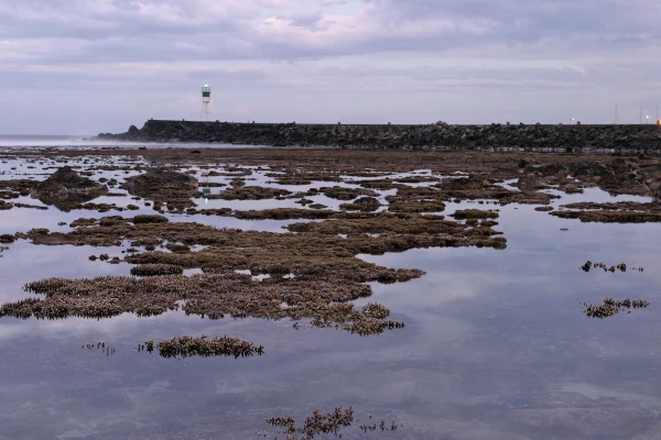 Le lagon de Saint-Pierre à marée basse (Photo: CRPMEM Réunion)