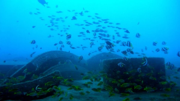 Récifs artificiels du projet CORAIL Réunion (Photo: PARETO / CRPMEM Réunion, 2009)