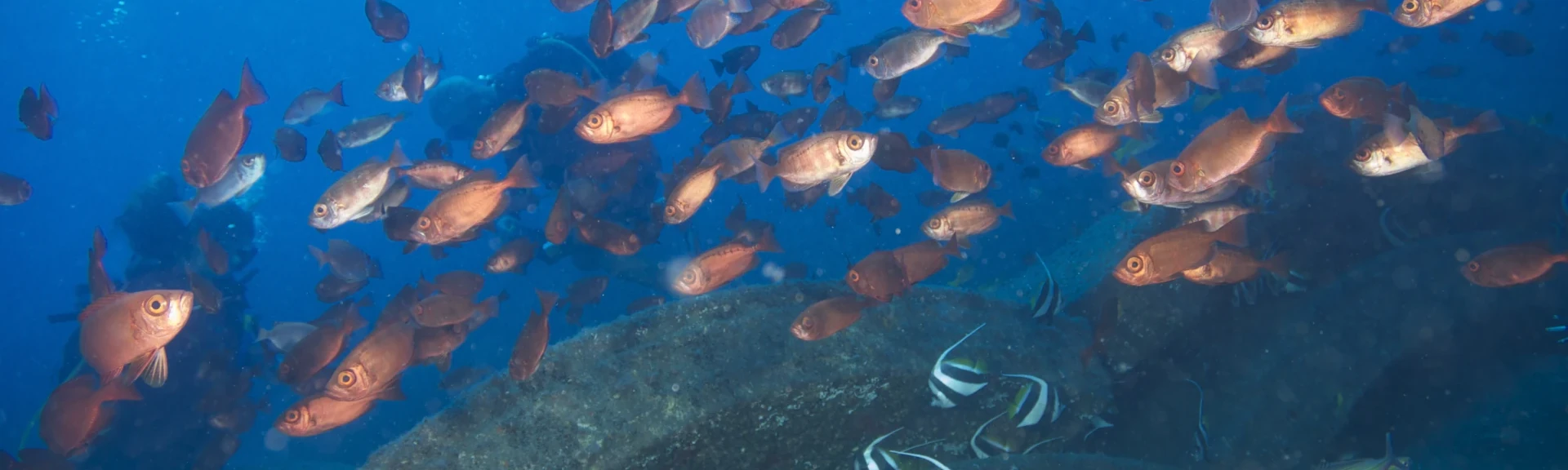 Une pêche durable