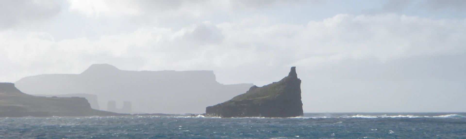 Les espèces australes