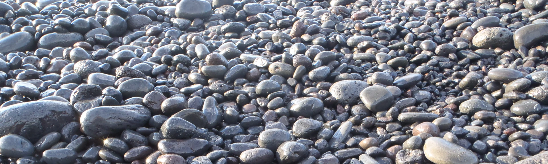La règlementation de la pêche