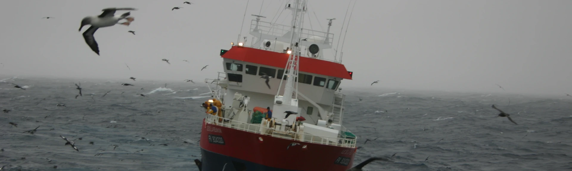 Pêche australe