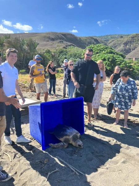 Des pêcheurs assistent à la remise à l'eau d'une tortue caouanne soignée à Kelonia (Photo: CRPMEM Réunion)