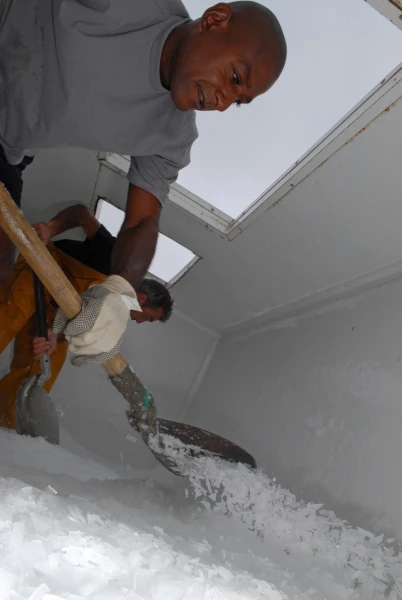 Préparation de glace dans la cale d'un mini-longliner (Photo: CRPMEM Réunion, 2006)