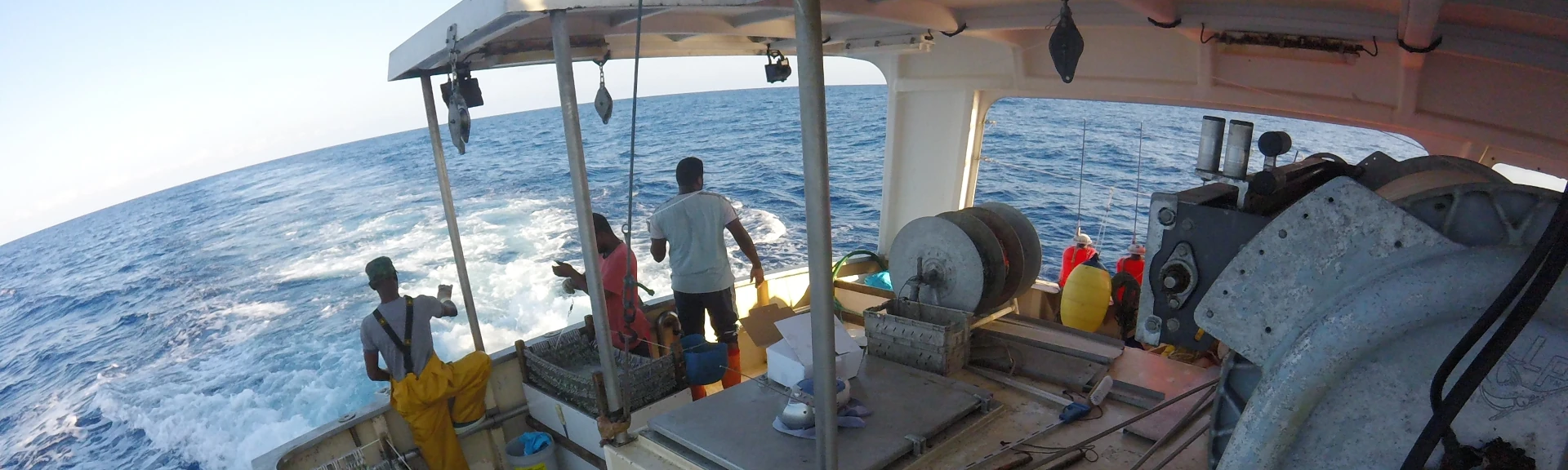 Pêche palangrière hauturière