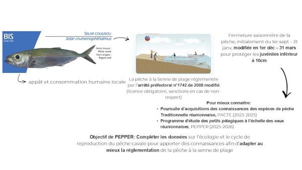 Les attendus des projets PACTE et PEPPER (source: E. Poirot, CRPMEM Réunion 2026)
