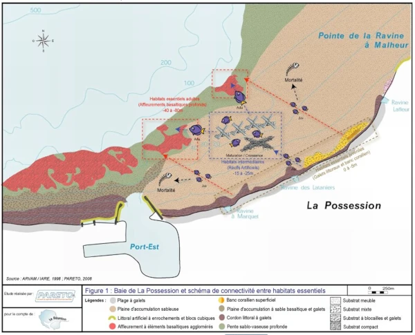 Schéma des aménagements du projet CORAIL Réunion en Baie de La Possession (source: M. Pinault, PARETO)