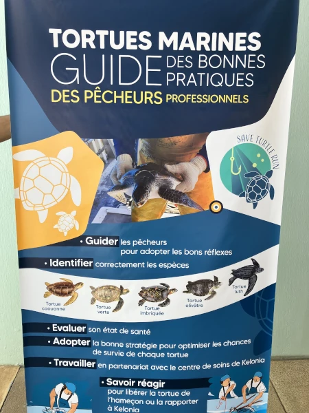 Le guide des bonnes pratiques pour la manipulation des tortues marines (Photo: CRPMEM Réunion, projet SaveTurtleRUN 2025)