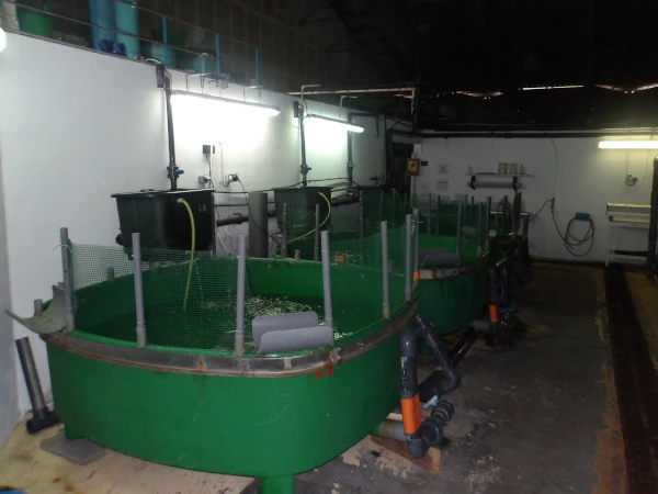 Les équipements aquacoles du CITEB (Photo: CRPMEM Réunion, 2026)