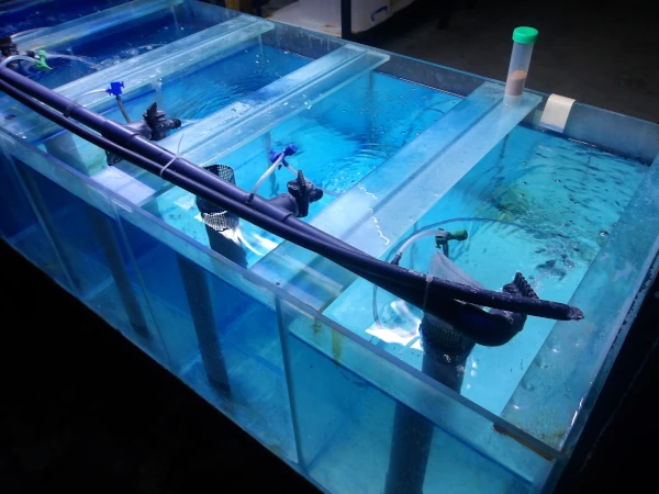 Les équipements d&#039;aquariologie du CITEB (Photo: CRPMEM Réunion, 2026)