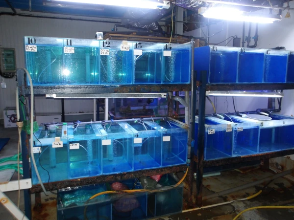 Les équipements d'aquariologie du CITEB (Photo: CRPMEM Réunion, 2026)